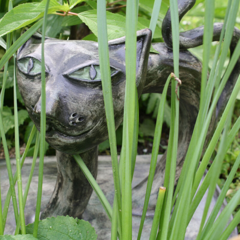 Kellerkatze entwischt…