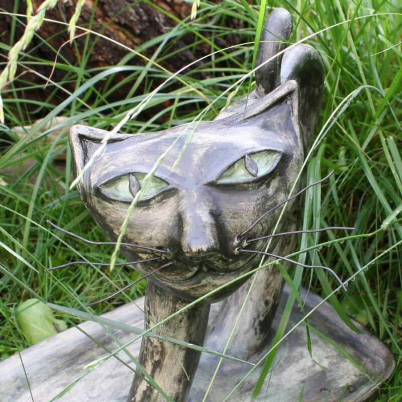 Kellerkatze im Ateliergarten aufgetaucht!